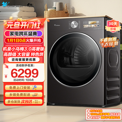 小天鹅(Little Swan)小乌梅3.0高奢版高颜值大容量专业烘护1000ml蒸汽护理强效去皱TH12VE40PRO