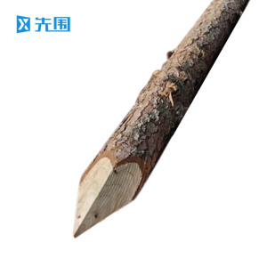 先围 防洪木桩 直径12cm长5米 根