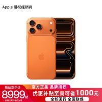 Apple iPhone 17 Pro Max 256G 星宇橙色[需现场签收激活]5G全网通手机 全新正品国行