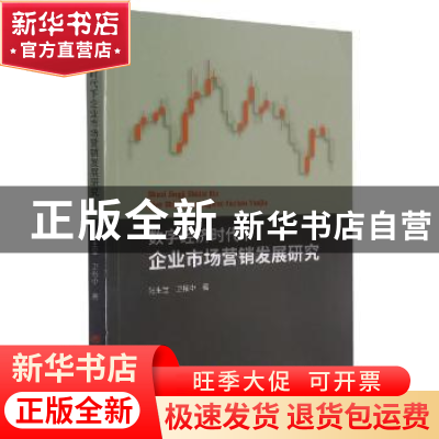 正版 数字经济时代下企业市场营销发展研究 陆生堂,卫振中 山西经