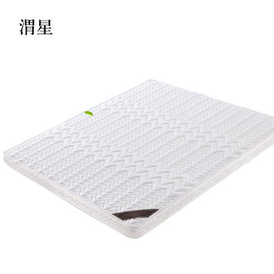 渭星椰棕床垫家用棕垫B10cm厚(防螨针织+2cm乳胶+0胶水天然椰棕)1200mm*2000mm