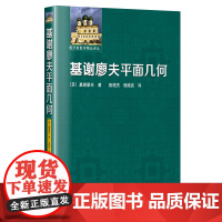 基谢廖夫平面几何