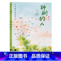 第4级:种树的人 [正版]大作家写给孩子们任选 7-10岁儿童文学课外分级阅读参考书目 小红马普希金堂吉诃德历险记川端康