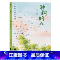 第4级:种树的人 [正版]大作家写给孩子们任选 7-10岁儿童文学课外分级阅读参考书目 小红马普希金堂吉诃德历险记川端康