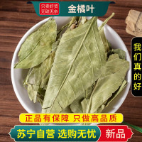 甄选金橘叶100克干货正品新货桔叶金桔叶煮水泡茶橘叶干货无硫正品新货