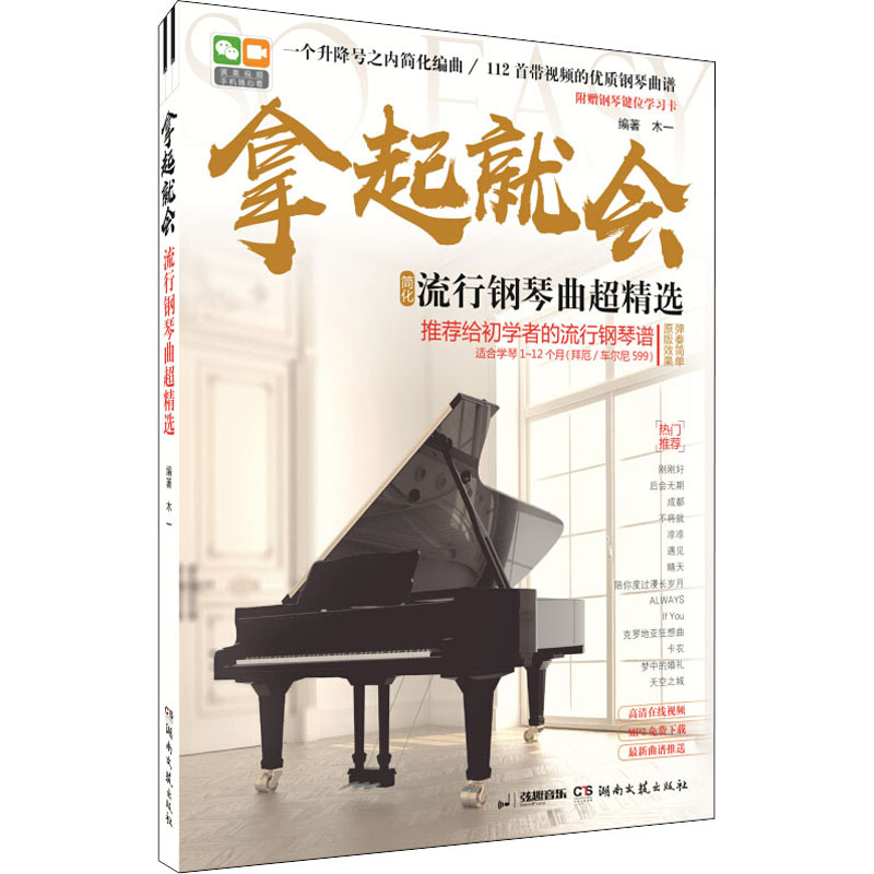 正版新书]拿起就会 流行钢琴曲超精选木一 编9787540481933