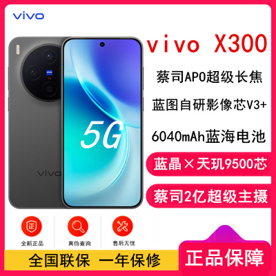 [全新]vivo X300 简黑 12GB+256GB 蓝晶×天玑9500芯 大电池 90W快充 支持无线充电 蔡司超级潜望长焦 拍照 AI手机