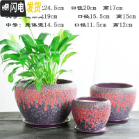 三维工匠加厚花盆陶瓷大号特大号带托盘绿萝盆景家用兰花多肉花盆 S1CZ-紫配红-单个 中等花盆容器