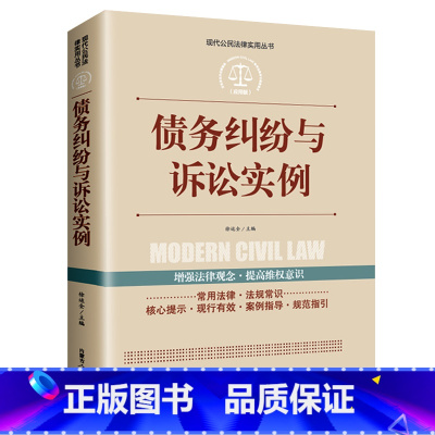 [正版]债务纠纷与诉讼实例现代公民法律实用丛书 中国法律大全书籍实用版公民法律基础知识大全 劳动法新版民事诉讼法法律入