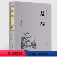 [正版]典籍里的中国楚辞 精装 中华经典名著全本全注全译丛书 中国古典诗词诗歌文学国学经典书店图书籍
