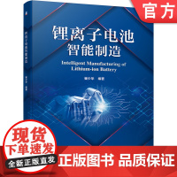 正版 锂离子电池智能制造 崔少华 原材料源头 生产工艺 工厂架构 AGV调度系统 项目技术路线 政策机制 市场策略