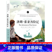 [正版]汤姆索亚历险记六年级小学版原著四五马克吐温小学生课外书6年级汤姆·索亚初中生汤姆.索亚历险记完整版无删年级