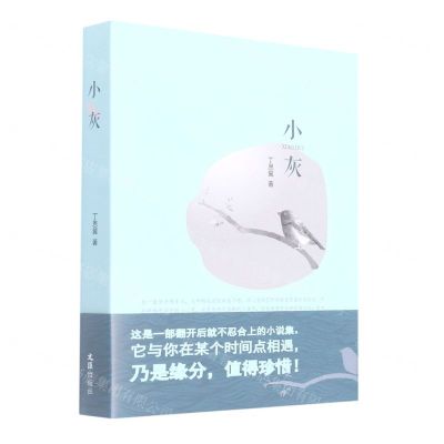 [N]小灰-9787549637027