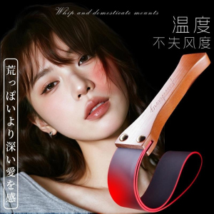成人情趣用品道具sm肛塞皮拍皮鞭手拍乳夹情侣性爱辅助工性具大全