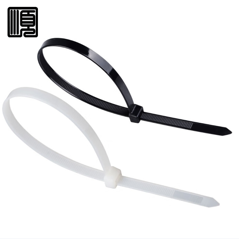 顺心捷 自锁式尼龙扎带 5×250mm 250根/包