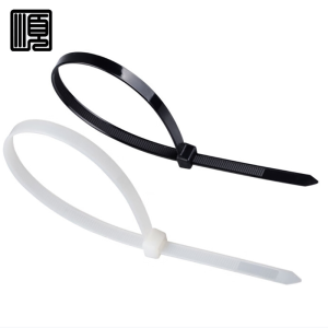 顺心捷 自锁式尼龙扎带 5×250mm 250根/包