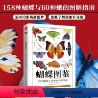 [正版]蝴蝶图鉴 蝴蝶家族生态图解精美蝴蝶图片生命科学 蝴蝶的分类生物学等基础知识 世界蝴蝶名录 图鉴蝴蝶品种图鉴蝴蝶