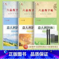 [高阶共6本]临摹+凹槽-意大利斜体英语字帖 [正版]意大利斜体英语字帖名言名篇励志美文临摹练字帖连笔女生漂亮字体初中生