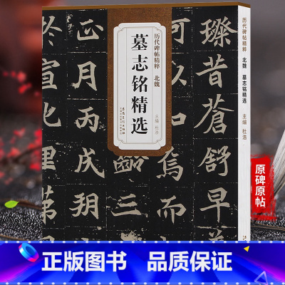 [正版]天卷 北魏 墓志铭选 历代碑帖 杜浩主编 楷书毛笔字帖书法临摹练 元桢墓志铭李壁墓志铭美人董氏墓志铭 简体旁注