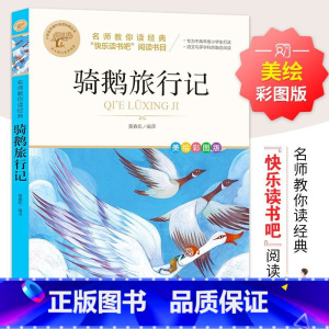 骑鹅旅行记 [正版]彩图草原上的小木屋 三四五六年级课外书必读老师国际大奖儿童文学经典名著美绘版原著 中小学生课外阅读书
