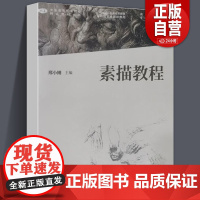 [正版]素描教程 邢小刚 2021年12月第2版 中国高等艺术院校精品教材大系 人民美术出版社