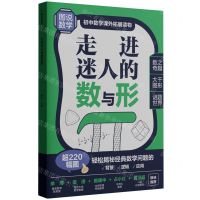 [N]走进迷人的数与形(初中数学课外拓展读物)-9787562872528