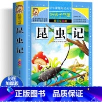 昆虫记 [正版]四大名着小学生版注音版全套4册 西游记三国演义水浒传红楼梦原着儿童版带拼音青少年版小学生课外阅读书籍幼儿