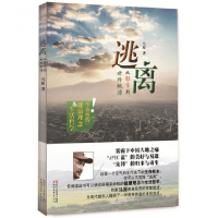 音像逃离(从都市到世外桃源)马原