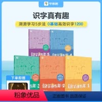 识字真有趣(套装共5册) [正版]学而思识字真有趣3-8岁儿童一年级幼儿识字卡片有图有声全套零基础高效学前启蒙识字书幼儿