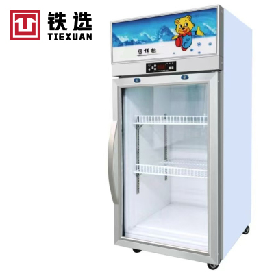 铁选 留样柜 TX-单门505*530*1060 台