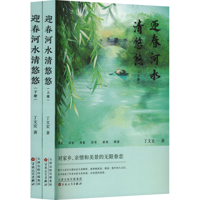 正版新书]迎春河水清悠悠(全2册)丁文宏9787530685433