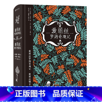 单本全册 [正版]书店爱丽丝梦游奇境记(精) 刘易斯·卡罗尔 江苏文艺出版社 王青杜可名//丁晨曦//张轶浪花朵朵绘本