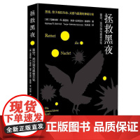 拯救黑夜:星空、光污染与黑夜文化