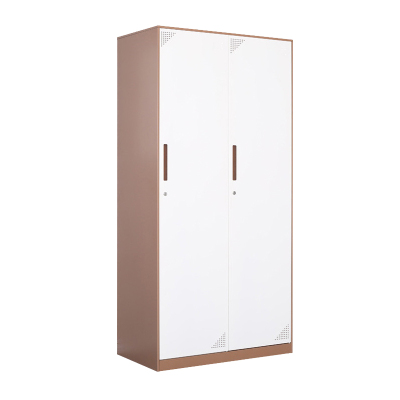 臻远 ZY-GYGC-7拆装更衣柜窄边储物柜 咖白套色二门更衣柜