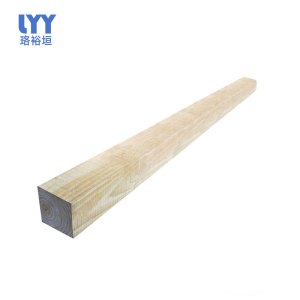 珞裕垣 垫木 100*100*4700mm 根