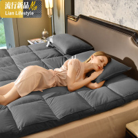 羽绒床垫白鹅绒加厚可折叠褥子榻榻米护垫 三维工匠