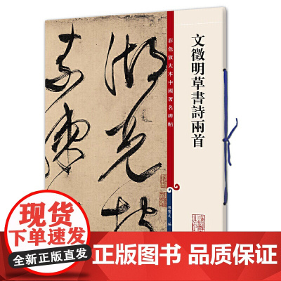 文徵明草书诗两首(彩色放大本中国碑帖·第九集)