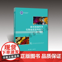 自营 康滇地轴典型实物地质资料特征 (矿产资源)王瑞红魏雪芳张志国朱有峰等编著 地质出版社