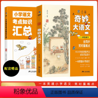 [2册]奇妙大语文1-6年级总复习 [正版]奇妙大语文1-6年级总复习小学生语文考点知识汇总一二三四五六年级2345课外