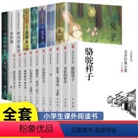 [全18册]纽伯瑞儿童文学+老舍全集 [正版]纽伯瑞儿童文学奖全套8本金奖作品小说中小学生三四五六年级课外阅读书籍7-1