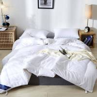 比韩(BIHAN)纤维被被芯云丝被