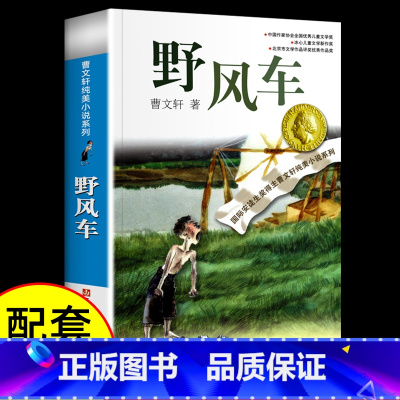 [正版]书店野风车/曹文轩纯美小说系列青铜葵花根鸟狗牙雨10-12周岁四五年级小学生寒暑假课外阅读书江苏凤凰少年儿童出