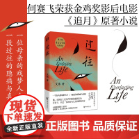 过往 艾伟第八届鲁迅文学奖获奖作品 一个另类母亲的感人故事 何赛飞袁文康主演电影追月原著小说当代文学散文小说书籍正版