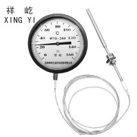 祥屹 压力式温度计定制检测款 WTQ280 160度 个