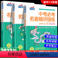 [全2册]中考必考名著精讲细练+名著导读测试卷 七年级/初中一年级 [正版]2023新 初中名著导读考点精练七八九年级中