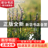 正版 脚边的美丽:花 陶隽超 中国林业出版社 9787503894459 书籍