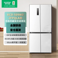 容声509升双净十字对开四开门超薄嵌入式电冰箱一级能效风冷无霜BCD-509WD2FPQLA白 509十字款