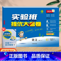 语文(人教版)。 三年级下 [正版]实验班提优大考卷一年级二年级三四五六年级上册语文数学英语人教版北师大苏教下册期中期末