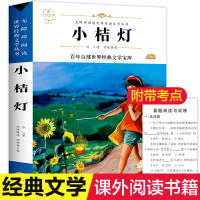 音像小桔灯冰心