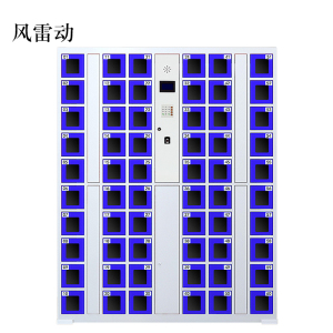 风雷动智能手机柜存放柜充电柜存包柜储物柜60门充电透明款
